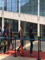 Stake(中国区)官方网站