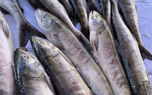 Stake(ÖйúÇø)¹Ù·½ÍøÕ¾