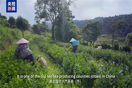 中国新增3项，，，，，，，，总量仍居天下首位！