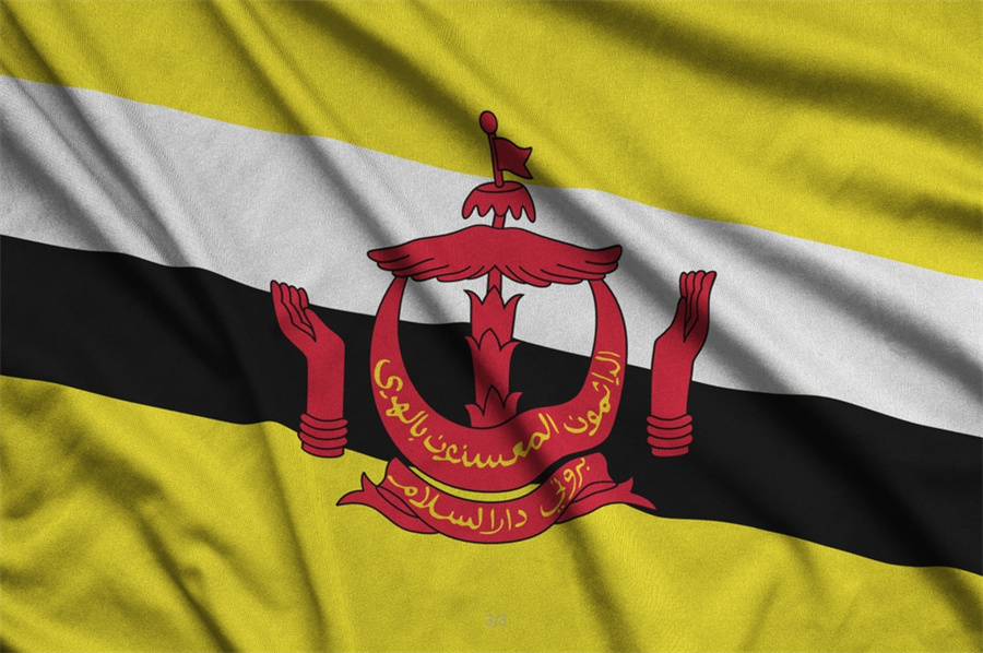 Stake(�й���)�ٷ���վ